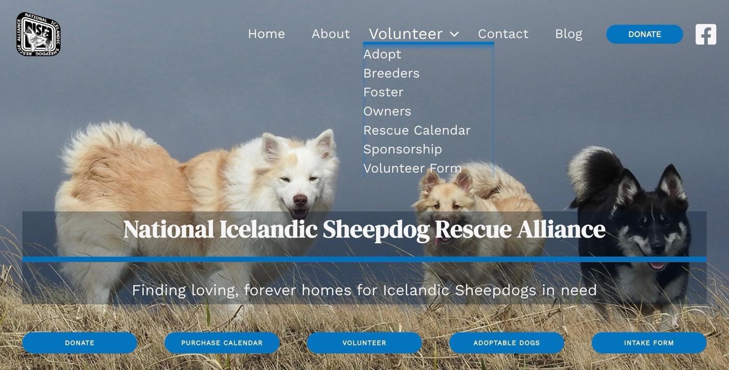 Screenshot of the redesigned NISRA website home page
